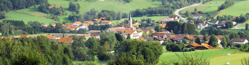 Bavarian forest