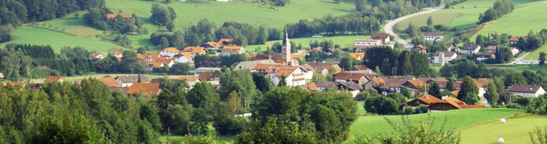 Bavarian forest